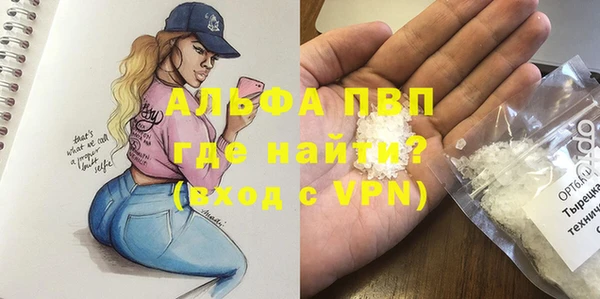 стаф Богородицк